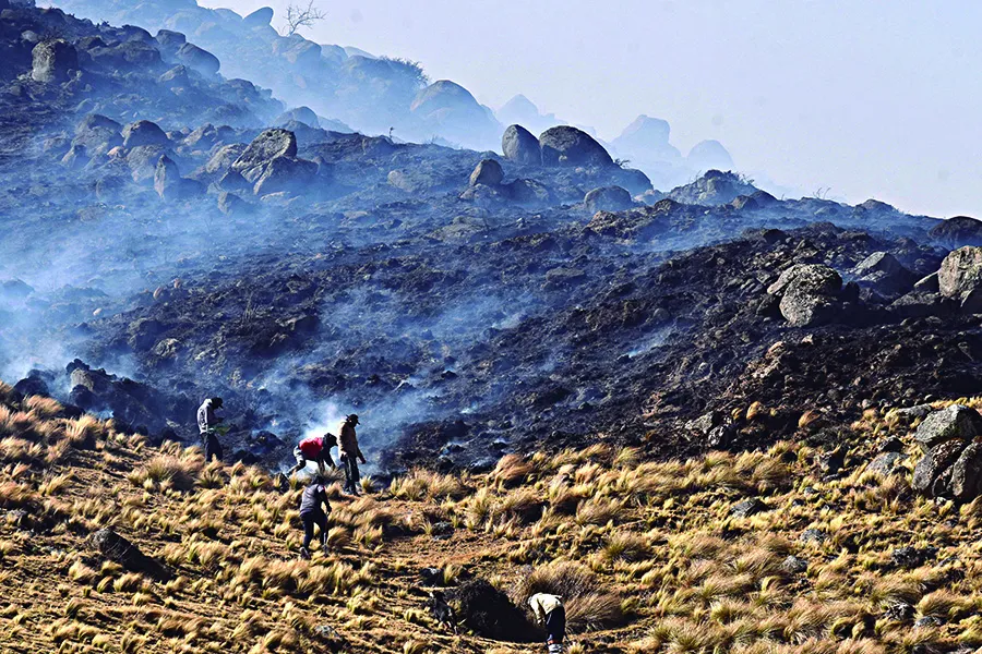 HÉROES SILENCIOSOS. Algunos vecinos de Tafí del Valle decidieron actuar y adentrarse en el cerro para ayudar a extinguir el incendio que acecha.
