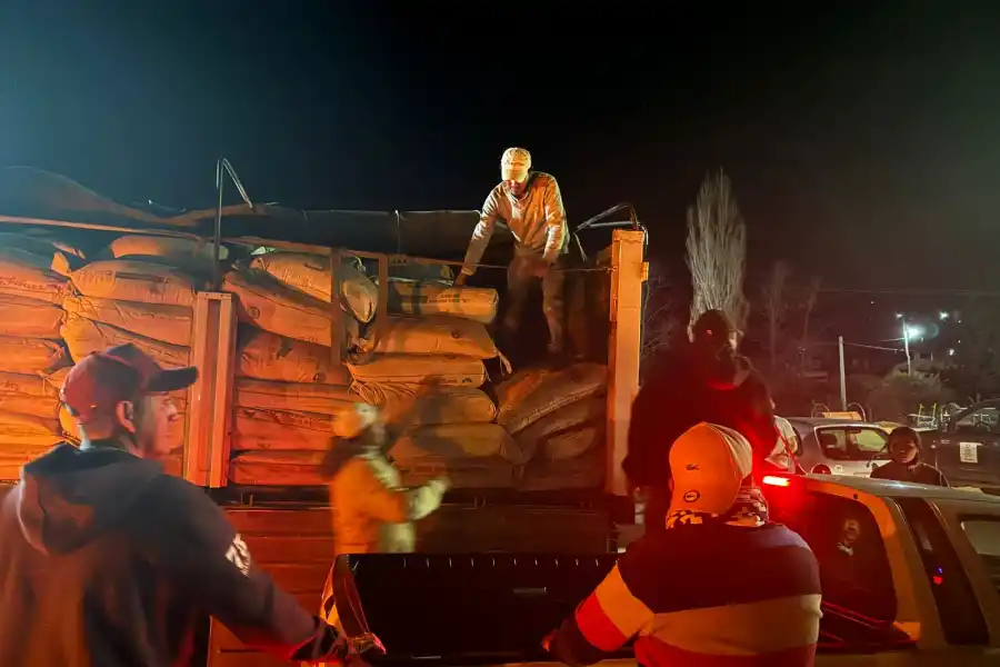 Incendios en Tafí del Valle: el Gobierno envió alimentos para los animales