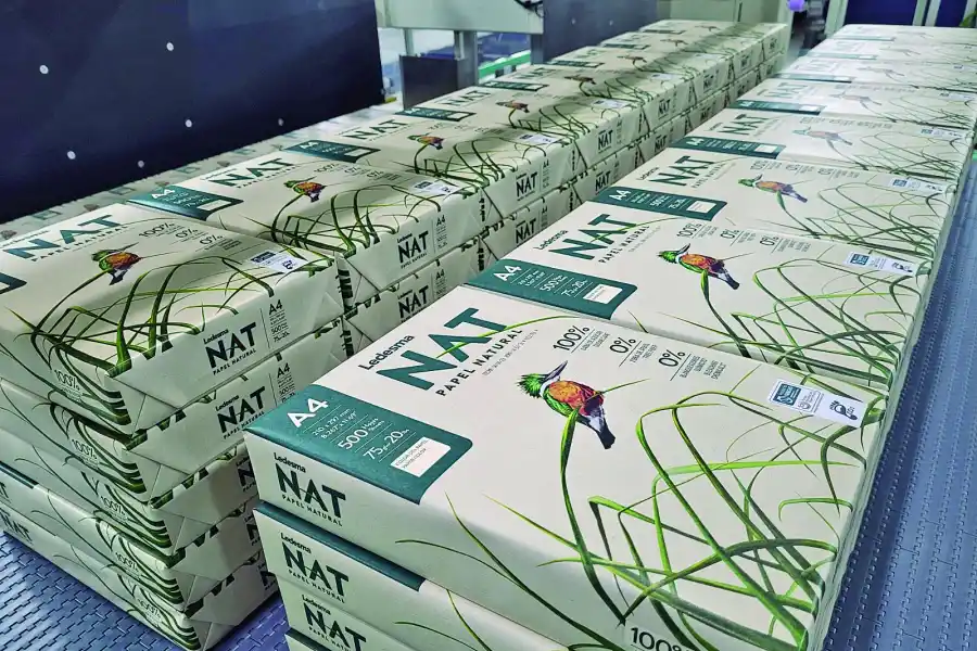 Ledesma, líder en la producción de azúcar y papel, y respetuosa del medio ambiente