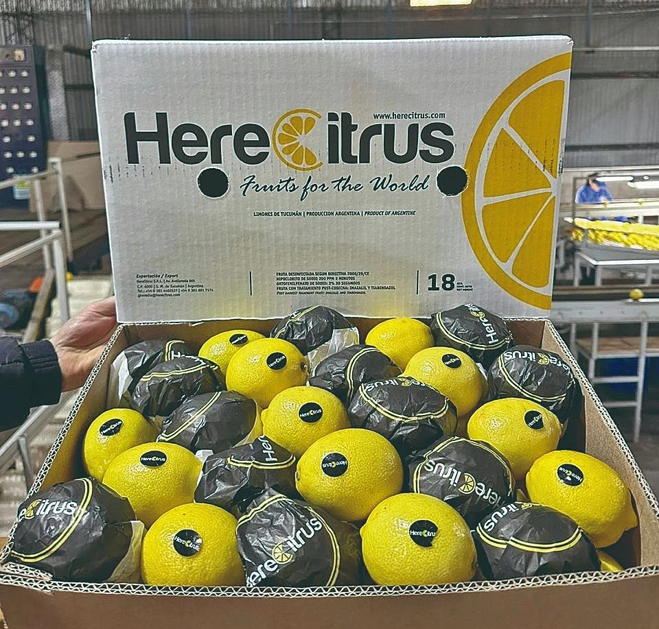 HereCitrus: limones tucumanos de calidad y para el mundo