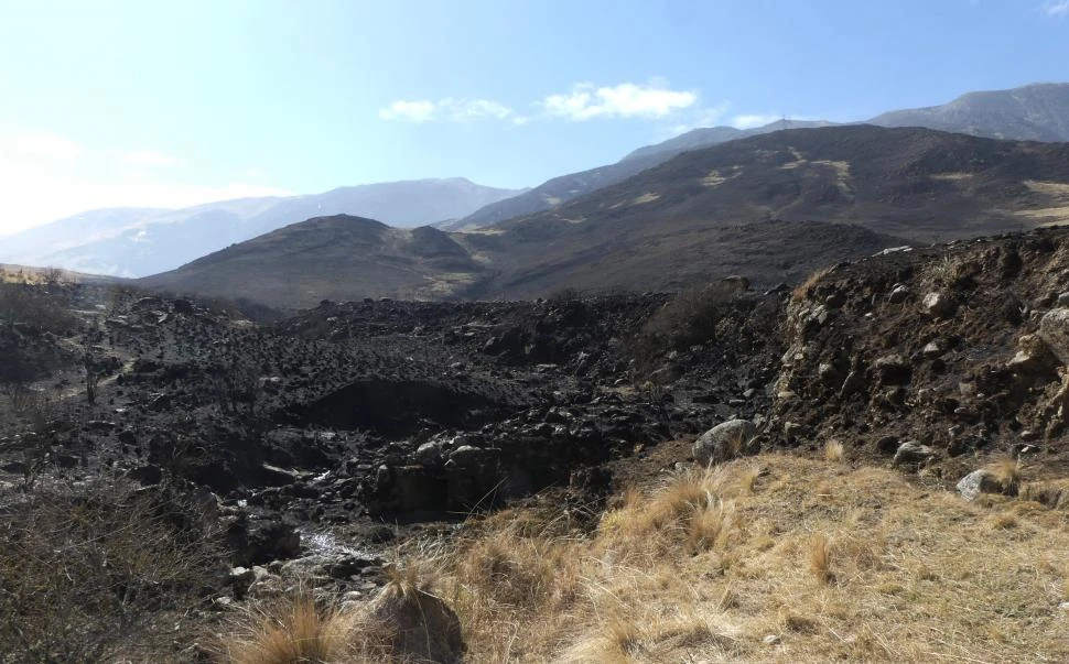 EN LA 307. El fuego bajó al borde de la ruta a la altura de un tambo. la gaceta / fotos de osvaldo ripoll