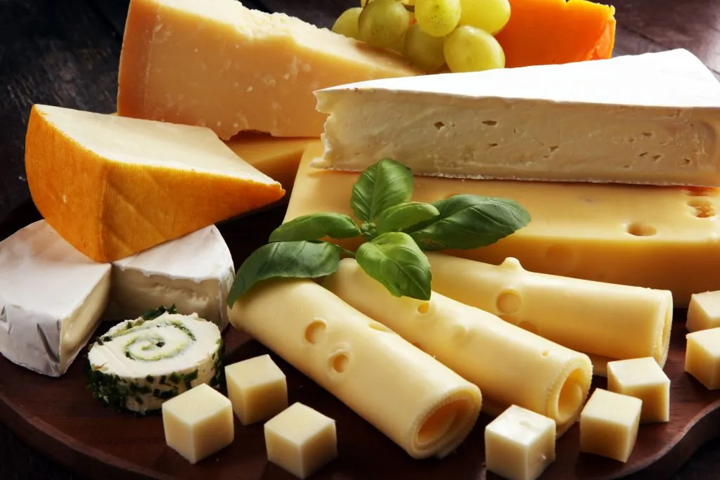 ¿Qué le sucede a nuestro cuerpo si comemos queso todos los días?