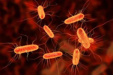 ¿Cuál es el primer síntoma de Escherichia coli? la enfermedad que contrajo la triatleta en los Juegos Olímpicos