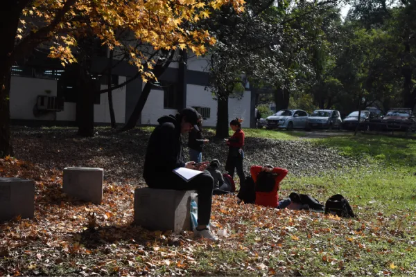 Los estudiantes de la UNT pueden cursar materias optativas de diferentes carreras