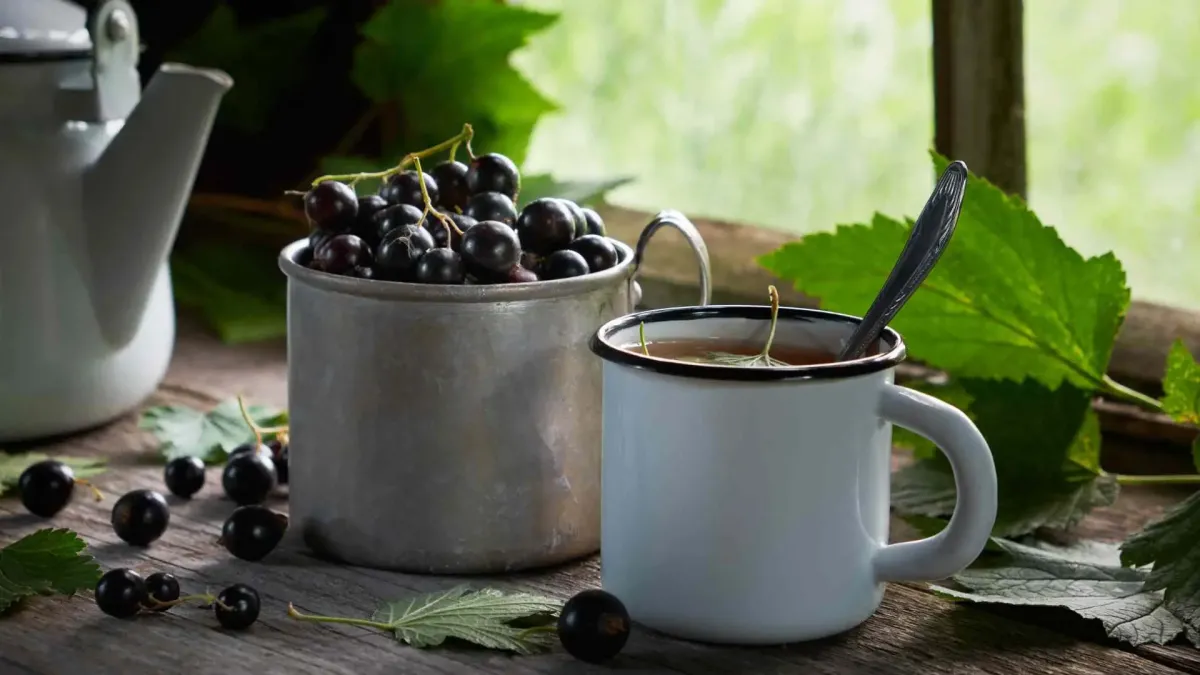 ¿Cuáles son las propiedades del té de grosella?