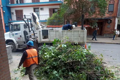 Enojo de los vecinos por la poda de un árbol en San Lorenzo al 400