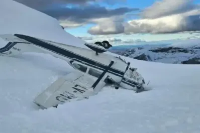 Neuquén: una avioneta se estrelló en el cerro Chapelco en San Martín de los Andes