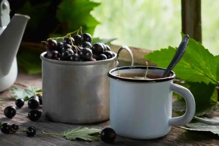 ¿Cuáles son las propiedades del té de grosella?