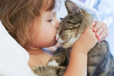 Cuáles son los beneficios de tener un gato en casa: salud mental, cardiovascular y apoyo a personas con TEA