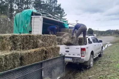 El Gobierno sigue enviando asistencia a productores de alta montaña tras los incendios