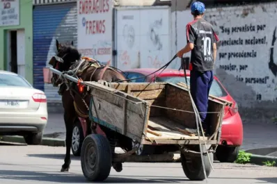 Podría aprobarse la restricción progresiva de tracción a sangre