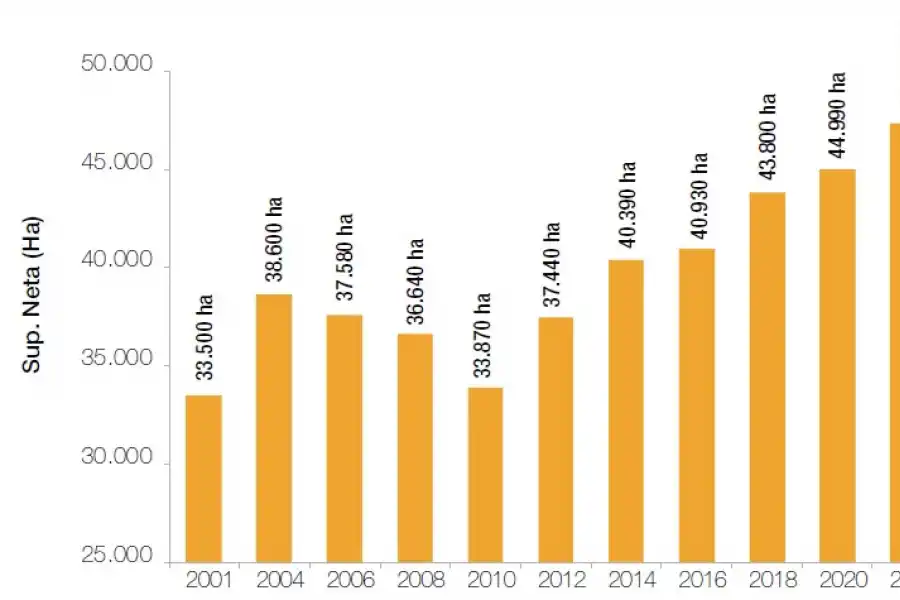 fuente: Estación Experimental Agroindustrial Obispo Colombres