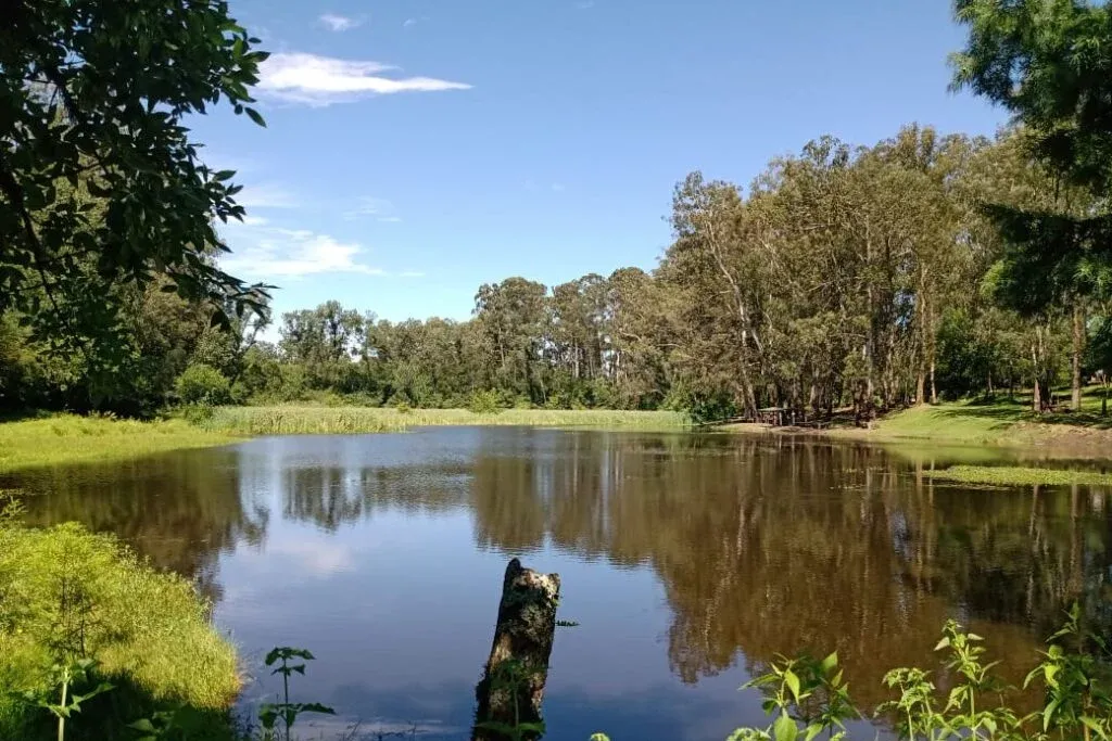 El Parque Sierra de San Javier celebra su 51° aniversario: por qué es tan importante