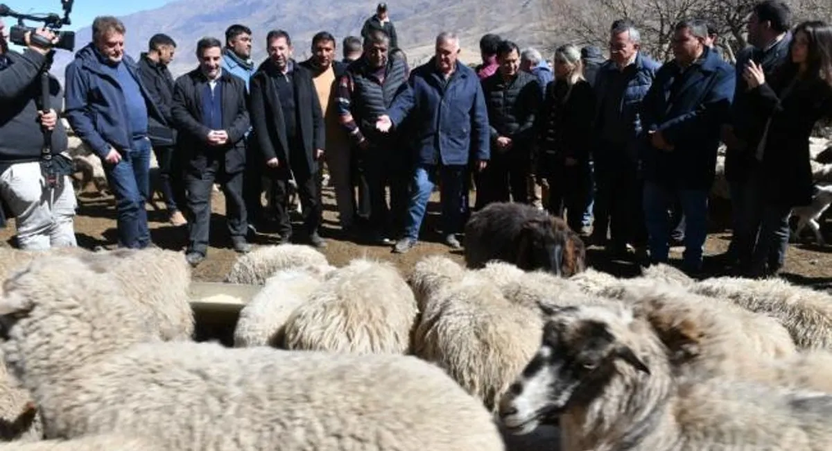 El Gobierno entregó insumos a los afectados por los incendios en Tafí del Valle