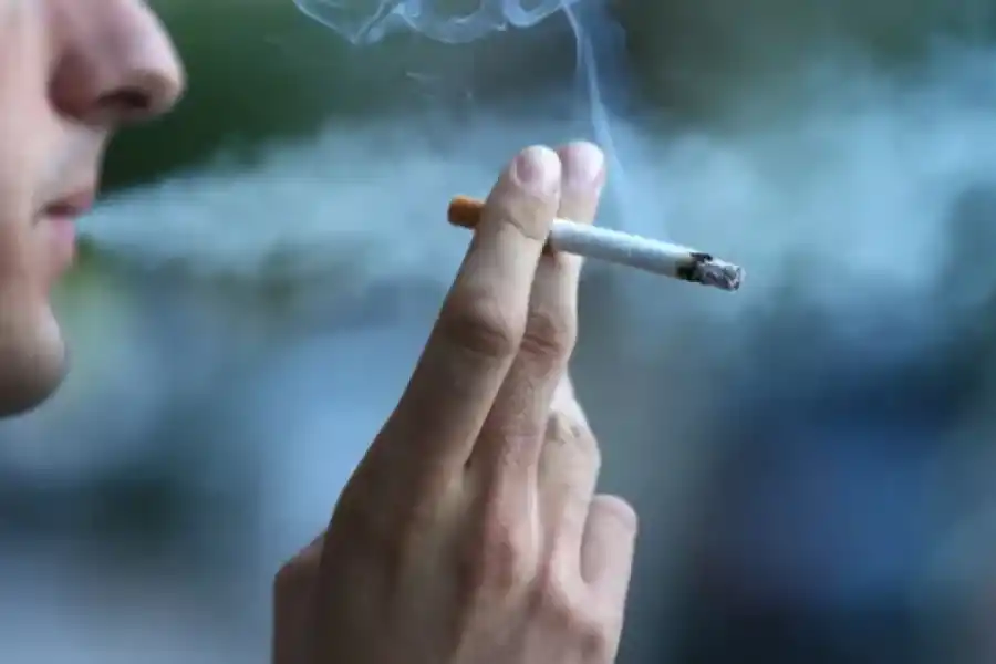 Las personas que fuman no deberíana doptar perros.