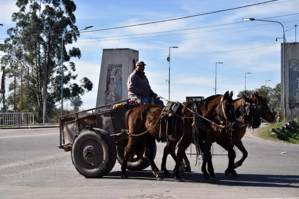 UN ABORDAJE INTEGRAL. Se busca erradicar la tracción a sangre. LA GACETA / FOTO DE INÉS QUINTEROS ORIO