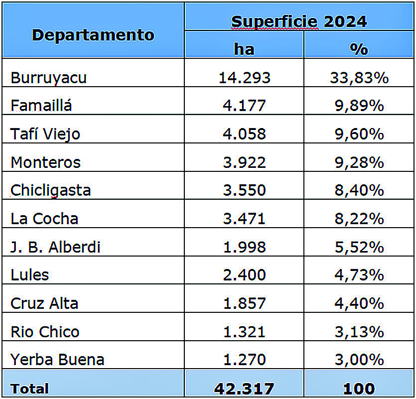 Tabla 1: Superficie y porcentaje departamental cultivado con cítricos en la provincia de Tucumán durante la campaña 2024.