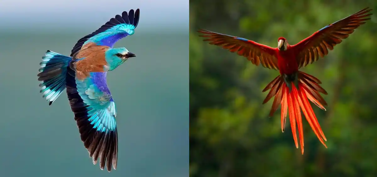 Test de personalidad: ¿cómo saber si tus celos son enfermizos o son normales?