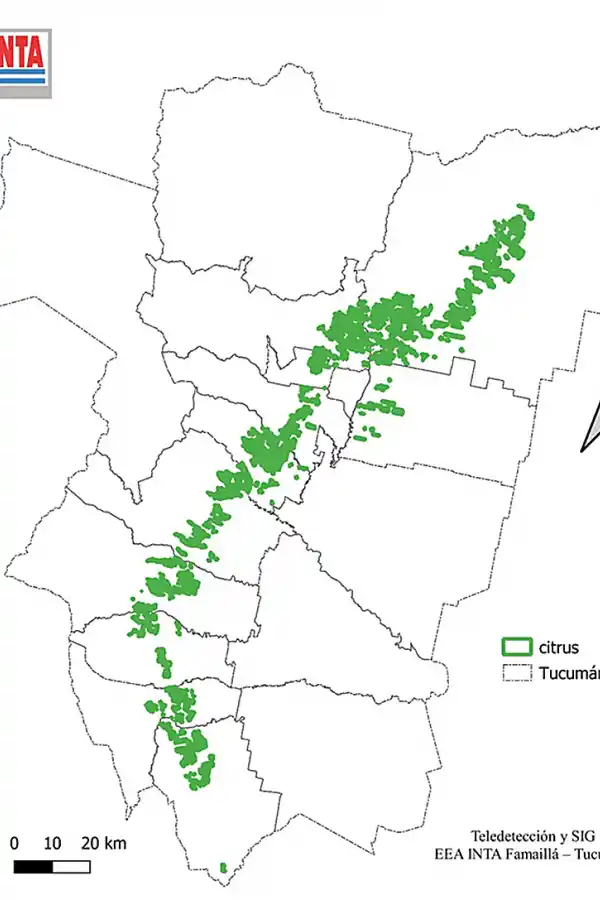 Figura 1: Distribución espacial de la superficie cultivada con cítricos en la provincia de Tucumán durante la campaña 2024.