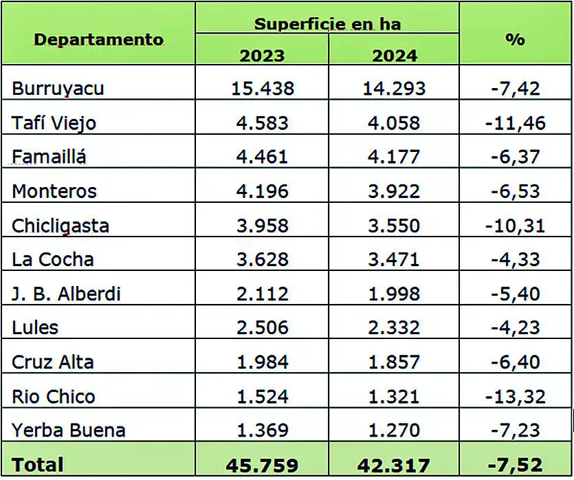 Tabla 2: Variación superficie implantada con Citrus entre las campañas 2023 y 2024