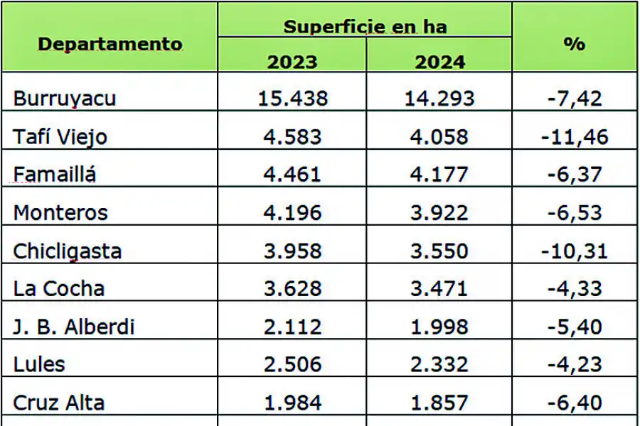 Tabla 2: Variación superficie implantada con Citrus entre las campañas 2023 y 2024