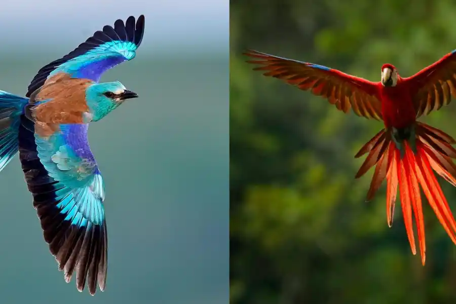 Test de personalidad: ¿tus celos son enfermizos o son normales?