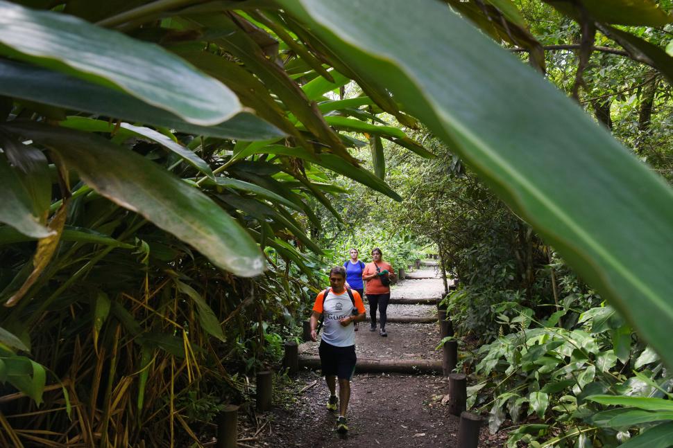 SENDERISMO. Caminar o correr entre las yungas es uno de los imperdibles.