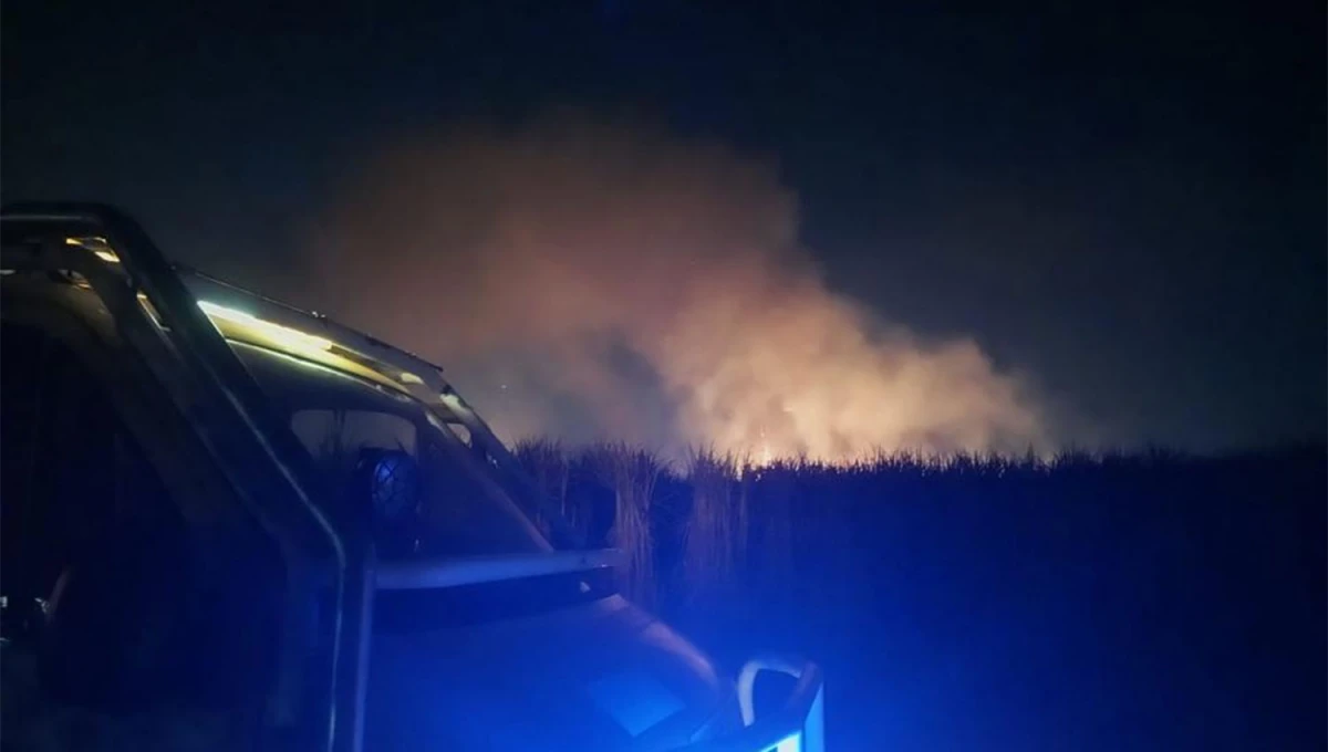 INTENCIONALES. Especialistas advierten que la quema de cañaverales provoca decenas de incendios diarios en la provincia. 