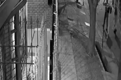 Entraron a la casa de una diputada y le robaron los ahorros para los viajes de egresados de sus hijas