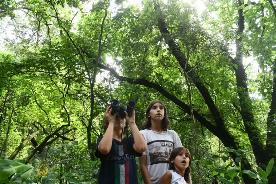AVISTAJE. Es frecuente observar aves. También es diversa la fauna: corzuelas, pecaríes, mayuatos y felinos no siempre visibles, dejan huellas de su presencia.