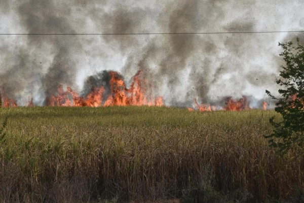 Se agravó la quema de cañaverales en el sur tucumano: se apagan hasta cinco incendios diarios