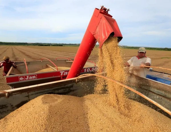 Soya Bolsa De Chicago Maiz Hoy Precio Soja Rosario Bolsa De