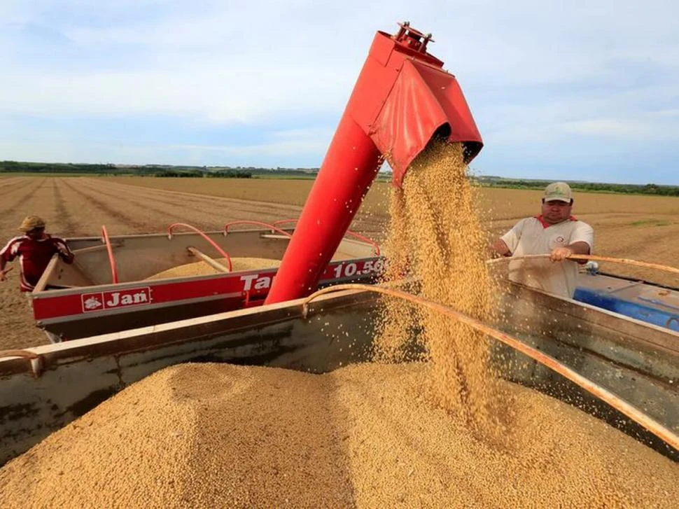 INFORME. EEUU y Brasil tendrán una mayor producción de soja.