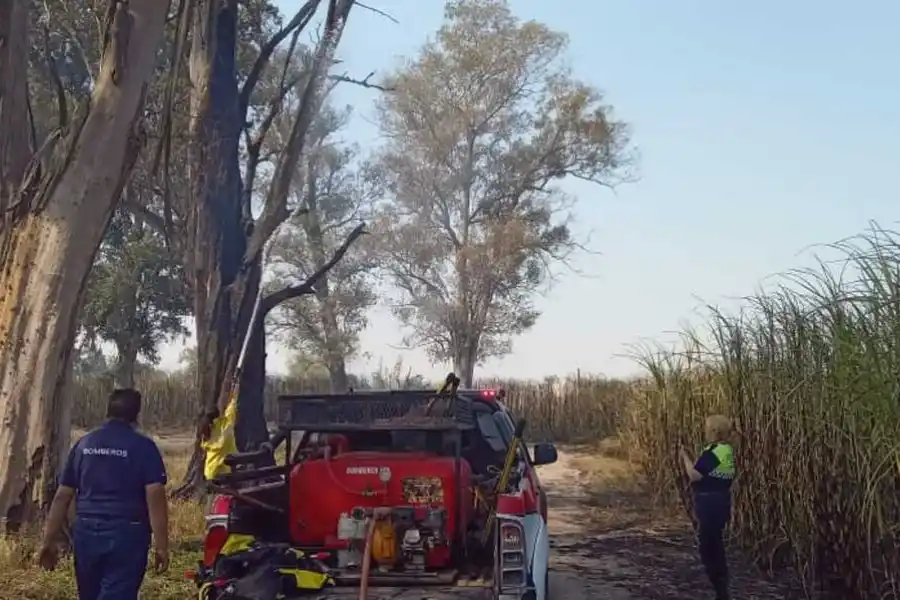 Quemaron un cañaveral, el fuego avanzó y debieron evacuar una escuela