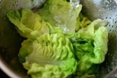 Agua de lechuga, el remedio para dormir que se hizo viral en TikTok