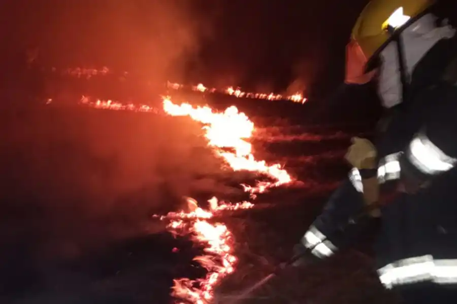 SOFOCADO. Bomberos y vigías controlaron las llamas luego de batallar más de una hora.