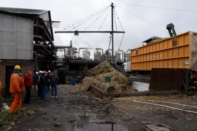 Las heladas no menguaron los datos de volúmenes de molienda y rindes aportados por los ingenios al
