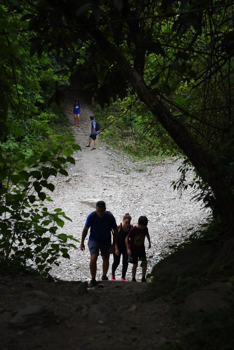 Tucumán quiere que sus yungas sean patrimonio de la Unesco