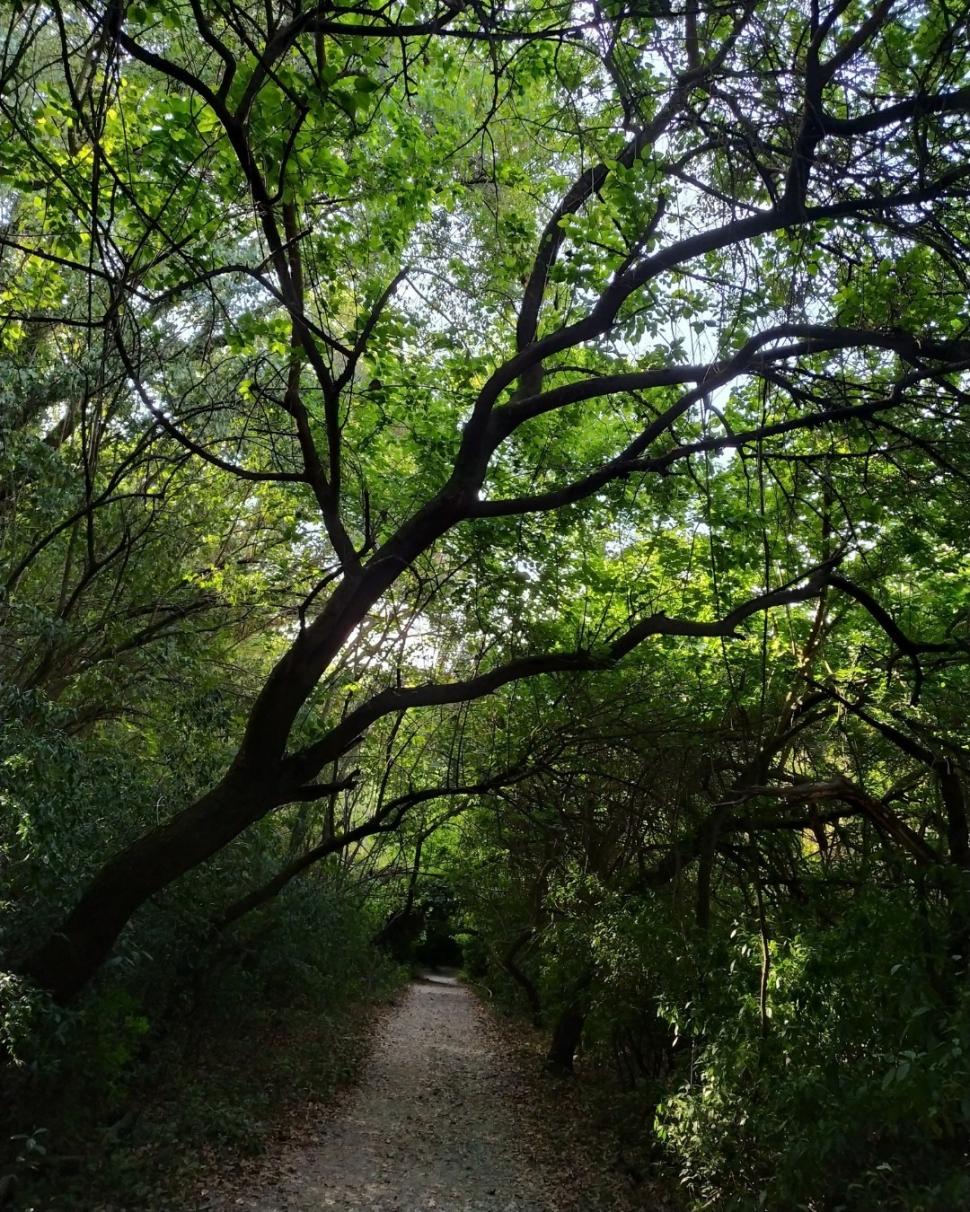 Tucumán quiere que sus yungas sean patrimonio de la Unesco