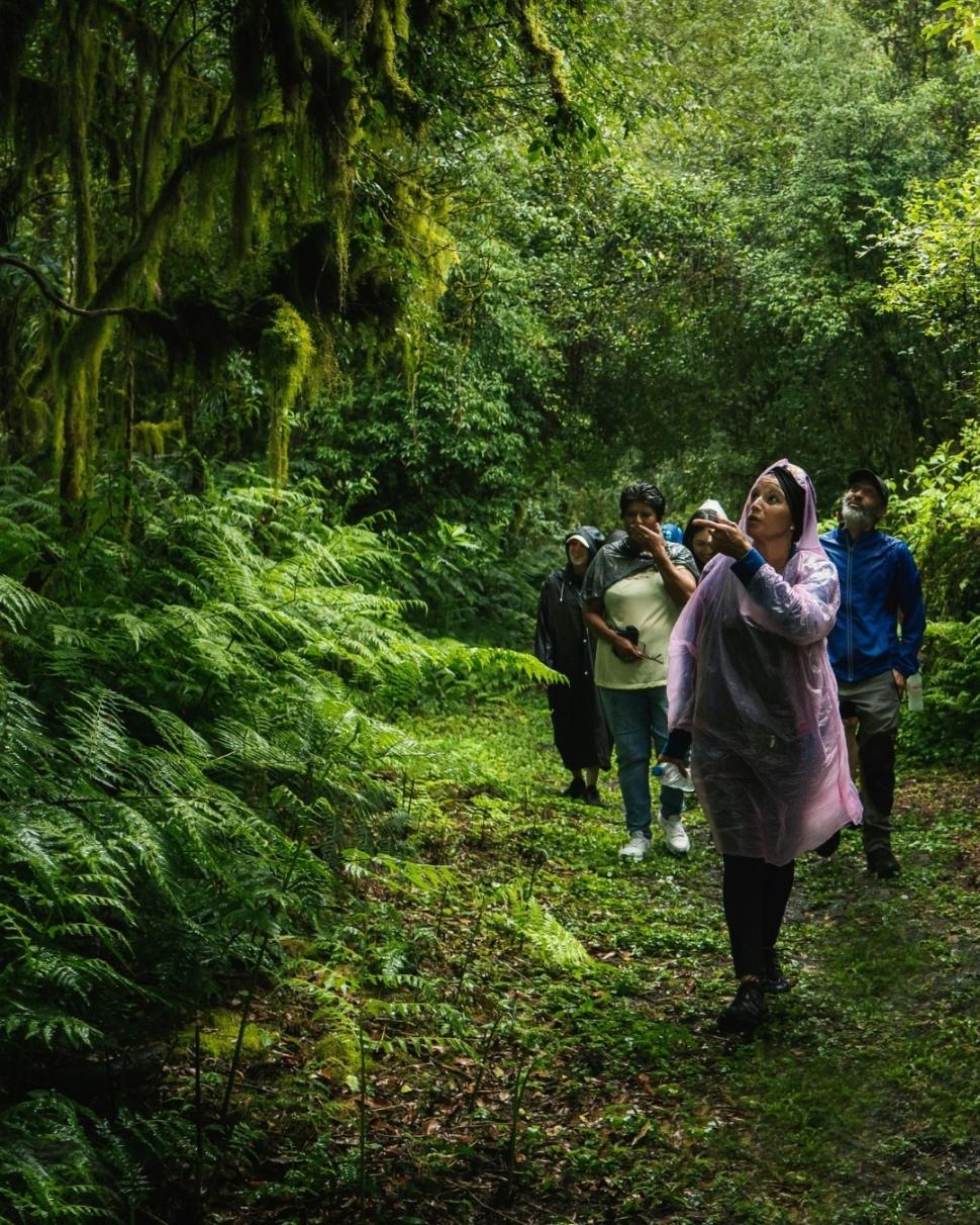 Tucumán quiere que sus yungas sean patrimonio de la Unesco