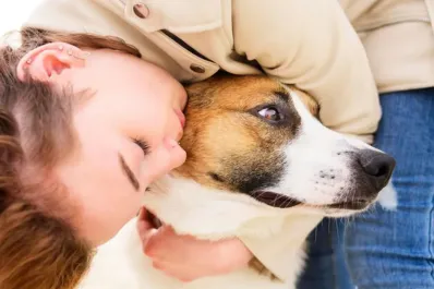 Por qué no es bueno abrazar a los perros, según los especialistas