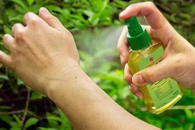 Anmat prohibió tres nuevos repelentes, uno de ellos para combatir al dengue