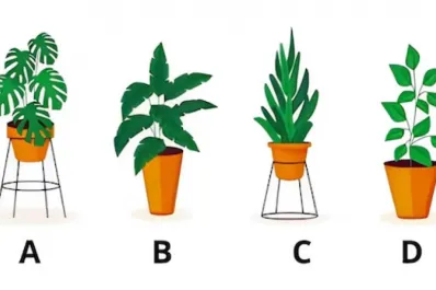 Test de personalidad: la planta que elijas revelará si eres una persona sumisa