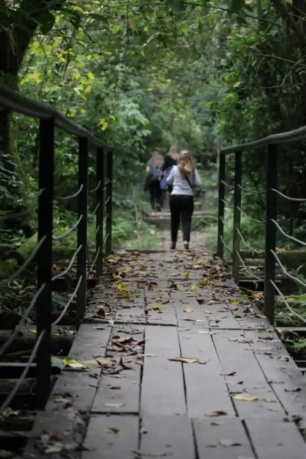 Tucumán quiere que sus yungas sean patrimonio de la Unesco