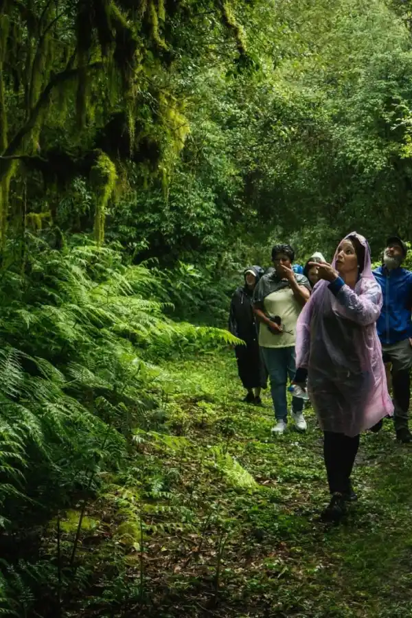 Tucumán quiere que sus yungas sean patrimonio de la Unesco