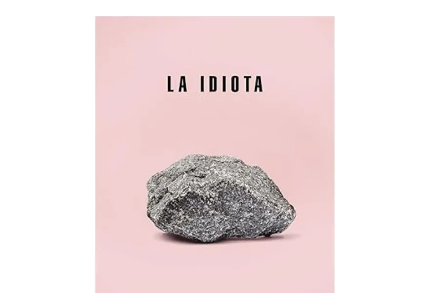 LA IDIOTA. Elif Batuman/CAPTURA DE PANTALLA