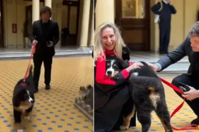 Milei recorrió la Casa Rosada junto a Thor, la nueva mascota oficial