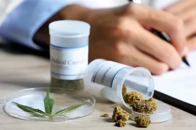 Cannabis medicinal: cuáles son los cambios que introdujo el Gobierno en el Reprocann