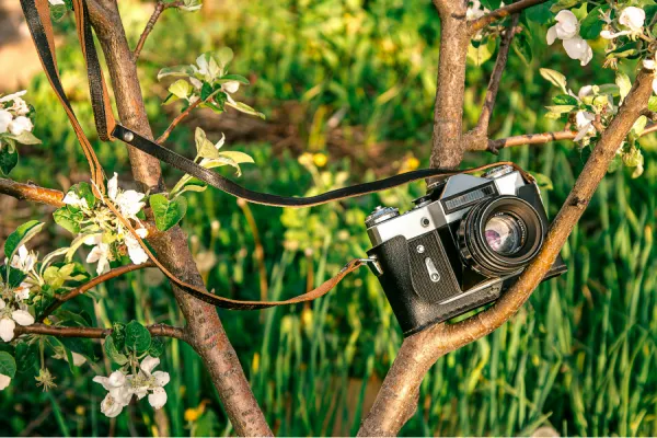 Arrancan los talleres de tango, folclore y fotografía en la Facultad de Filosofía y Letras