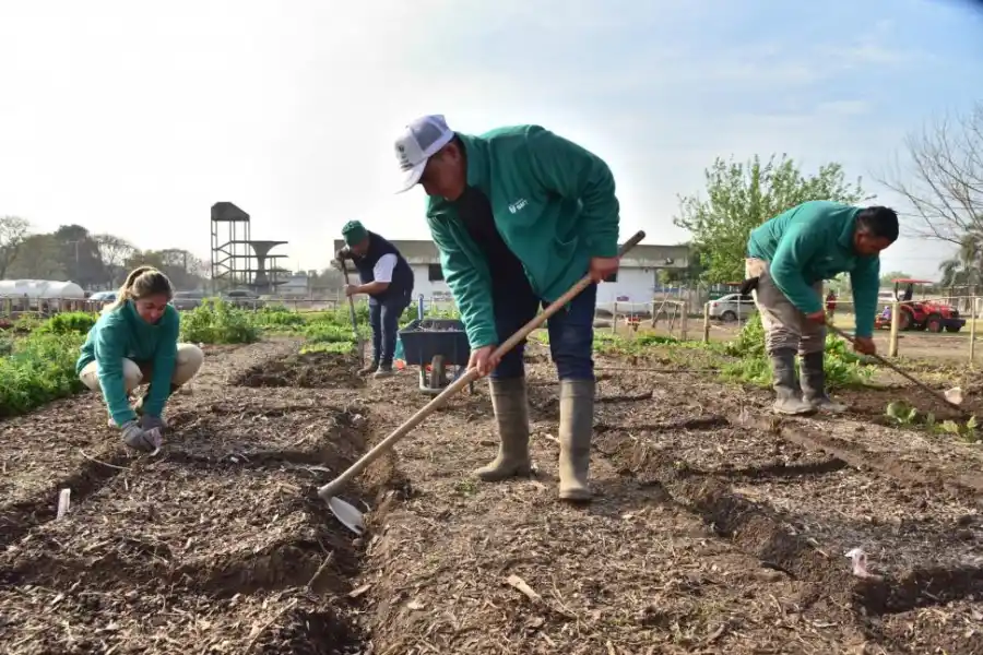 TRABAJO. La puesta a punto del terreno se hace todos los días.